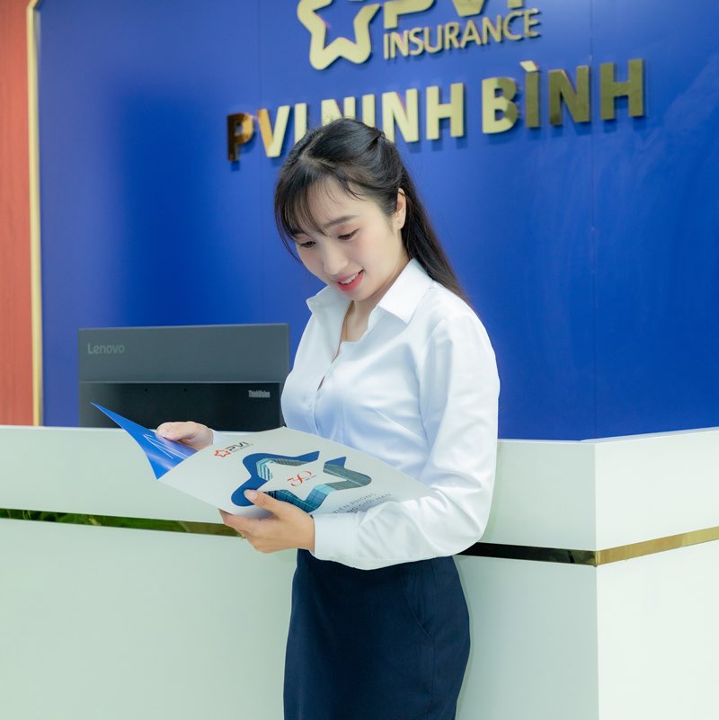 Nguyễn Vân Anh profile