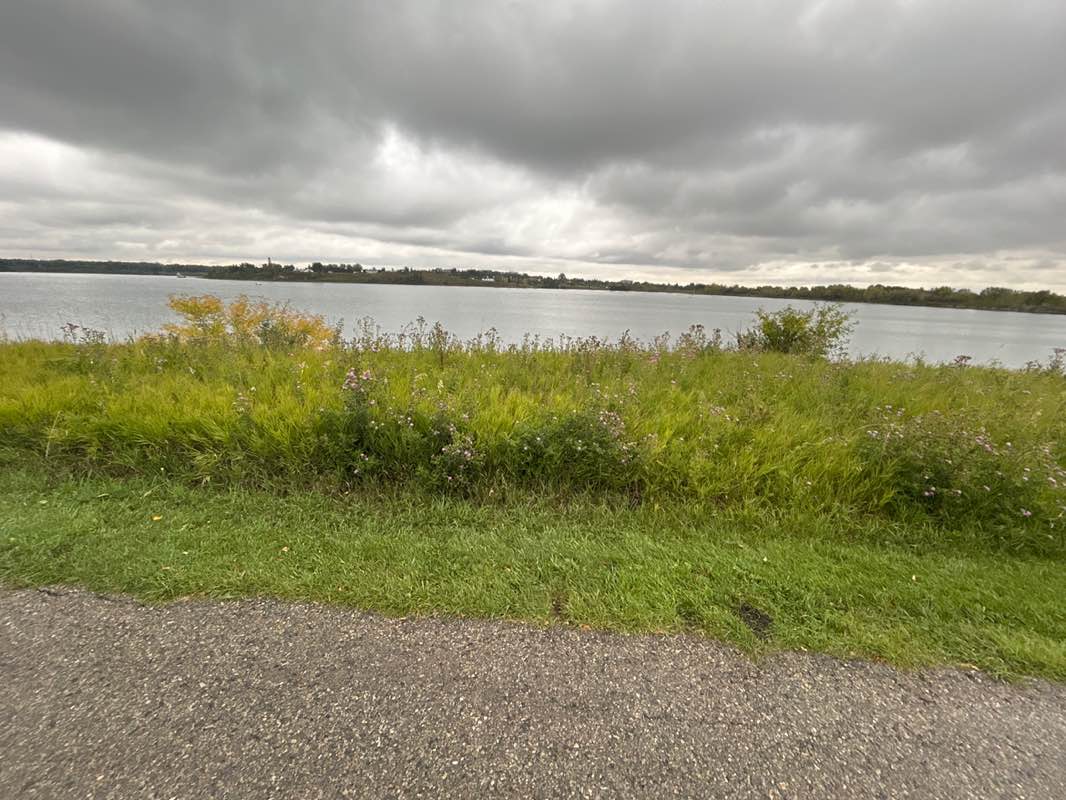 walking near me in South Glenmore Park in autumn