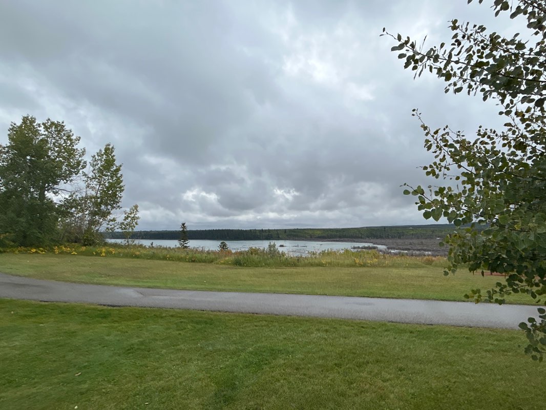 walking near me in North Glenmore Park in autumn