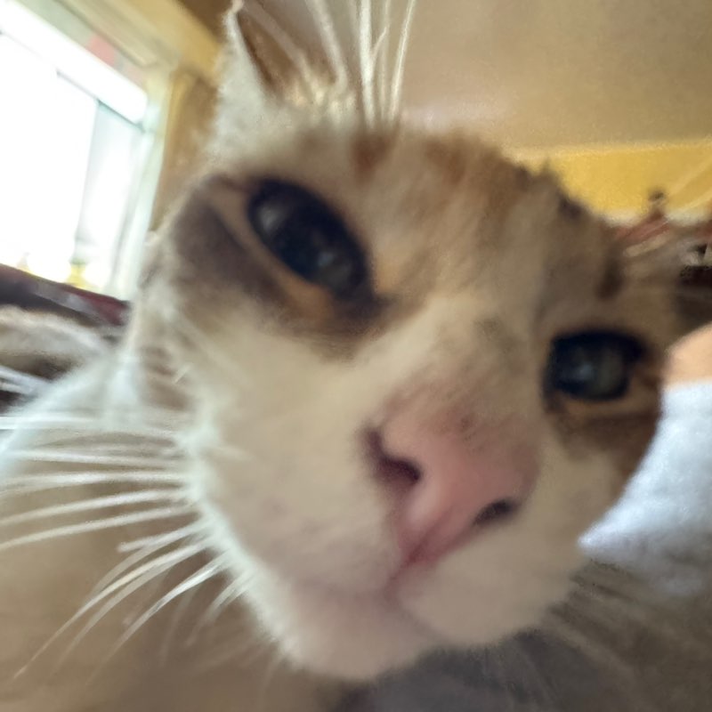 Christian profile