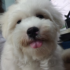 participant 2
