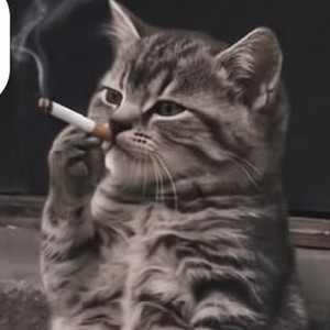 Наденька С profile