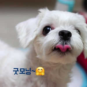 지혜러브 profile