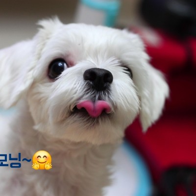 Walkingholic 지혜러브 post image