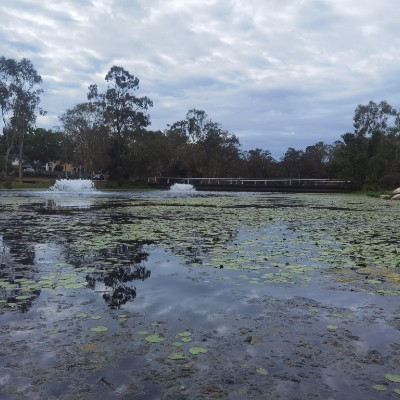 Catalyst IT Australia Hadi post image