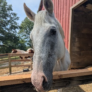 Brady Vetter profile