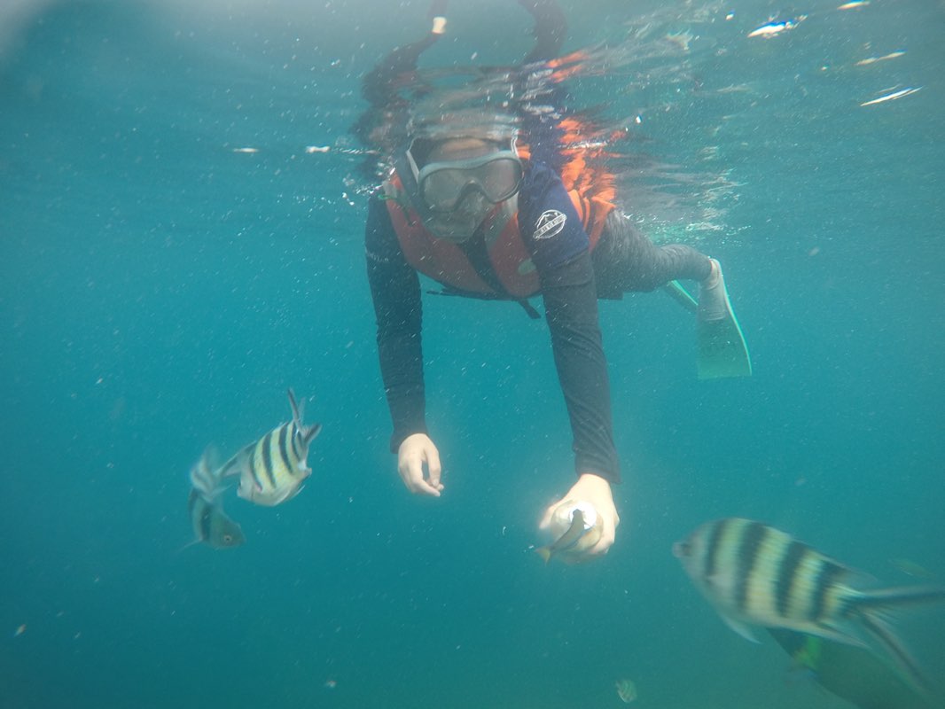 participant 2