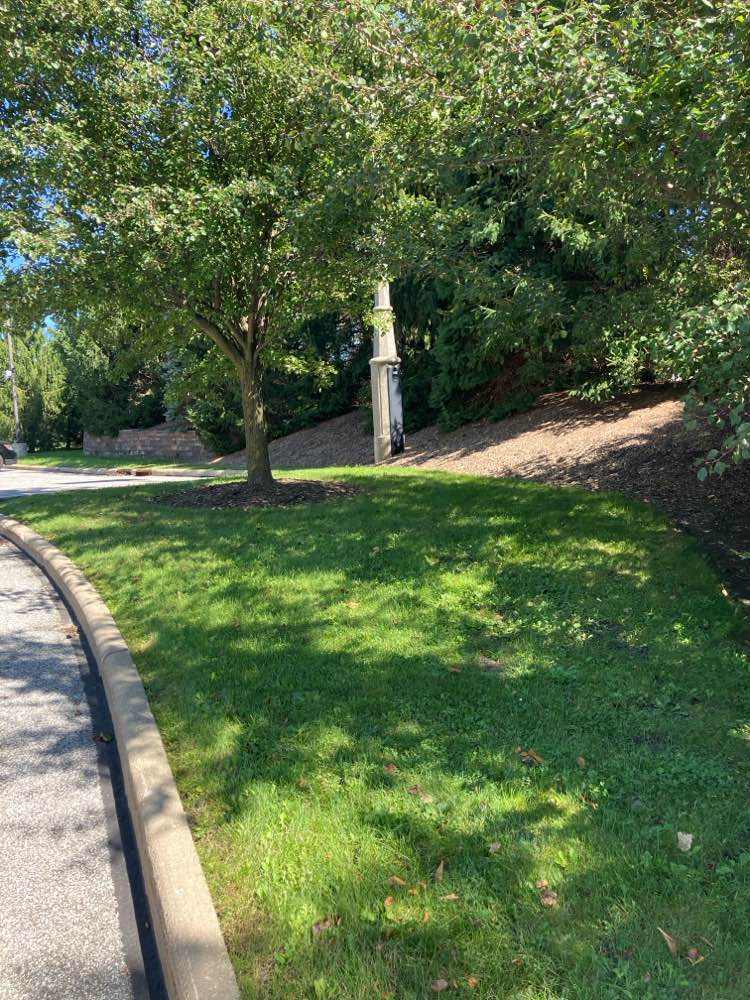 walking near me in Beachwood City Park East in autumn