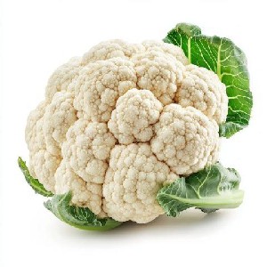 Cauliflower icon