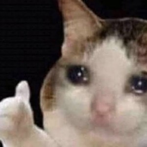 MeowieMeowMeow icon