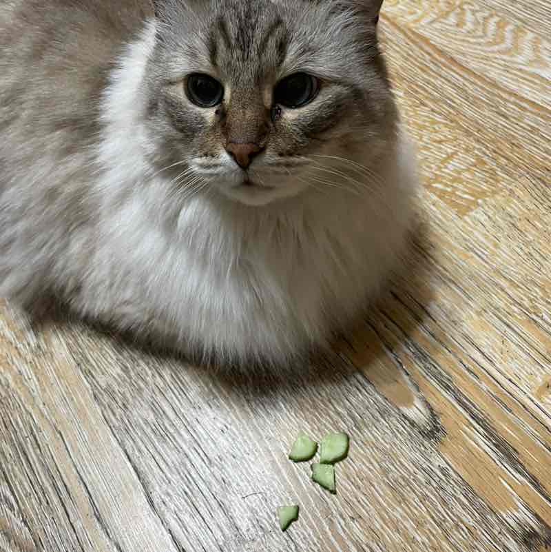 Миллиард шагов Sanchous post image