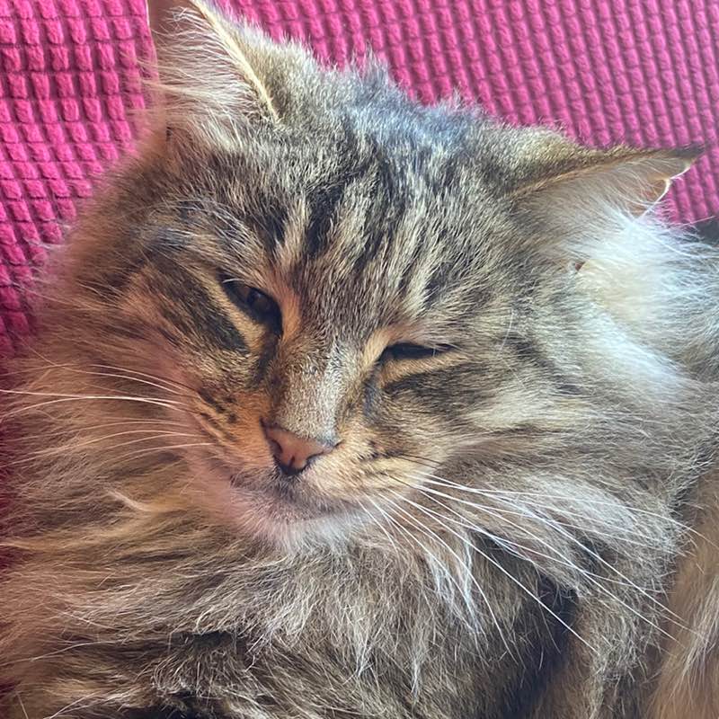 Charles In Charge profile