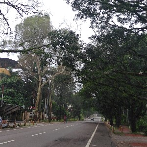 Ratika Gupta profile