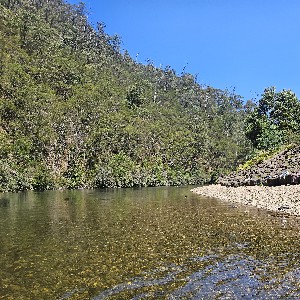 Donnelle Tautu profile