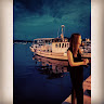 Dalma profile