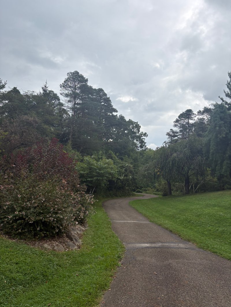 walking near me in F.A. Seiberling Nature Realm in autumn
