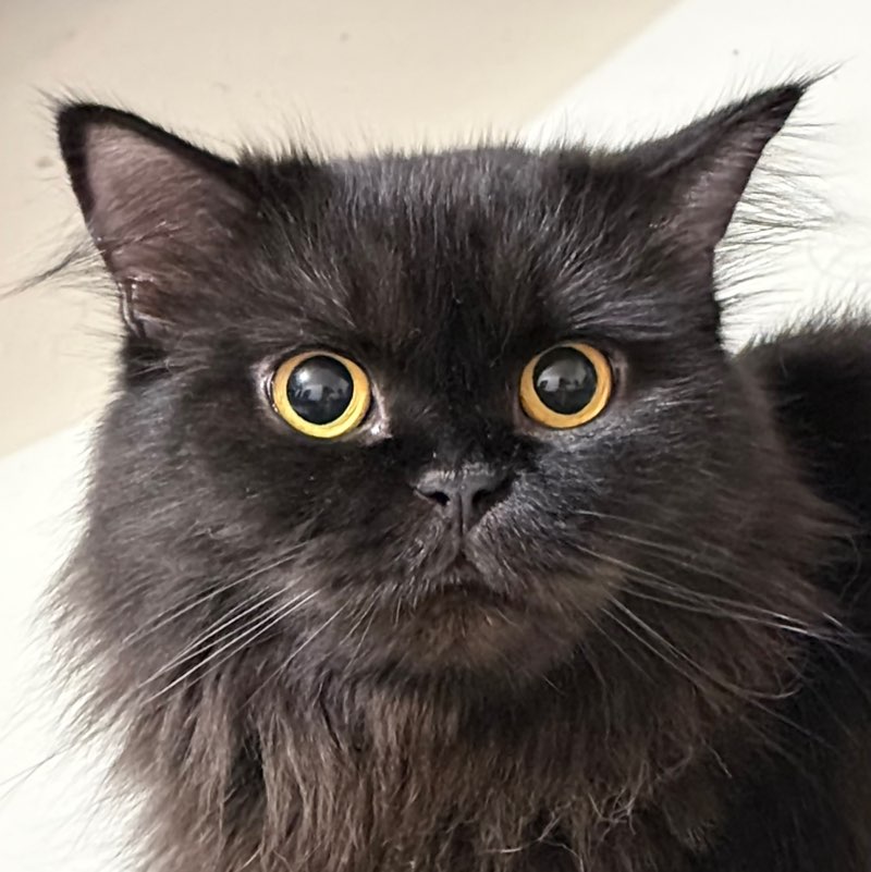 Khaycee profile