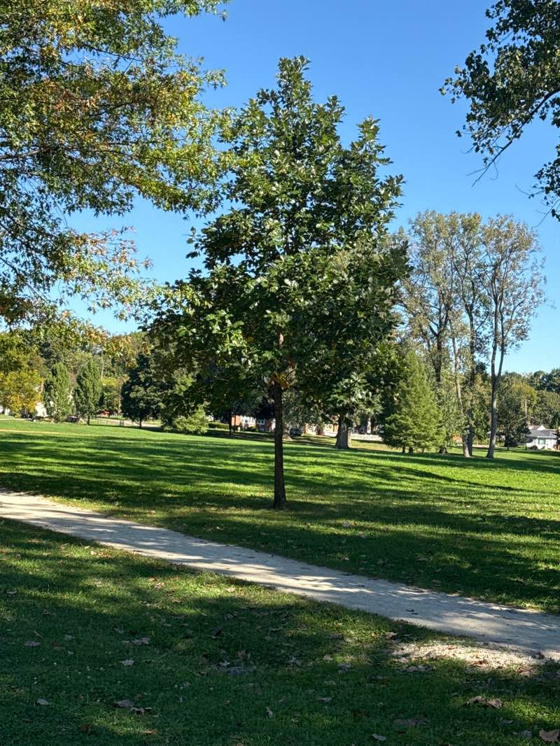 walking near me in Hardesty Park in autumn