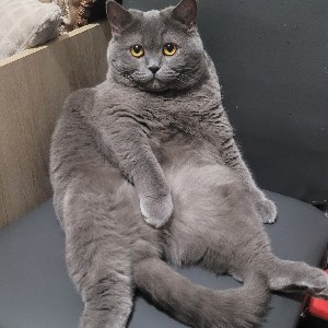 Оксана Кошкова profile
