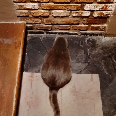 Family Faty post image