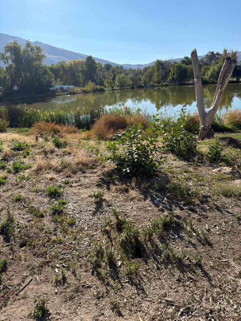 walking near me in Mehraban Wetlands Park in autumn