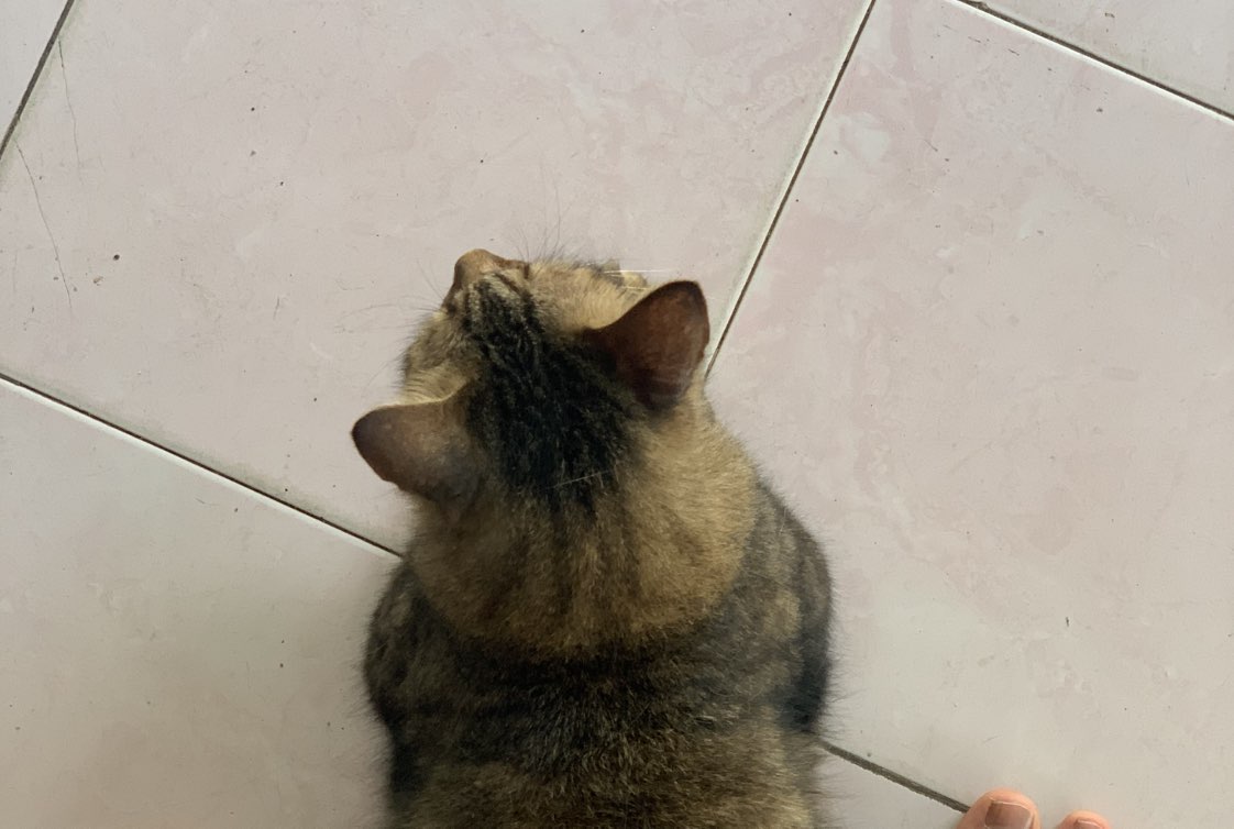 Khairul profile