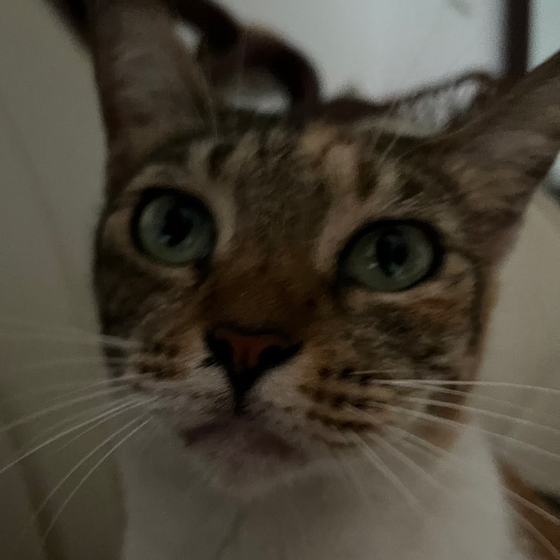 bea profile