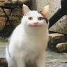 劭宇 profile