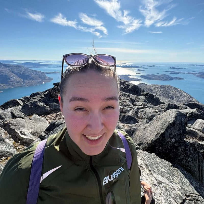 Najaaraq icon