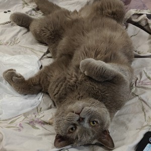 Расул profile