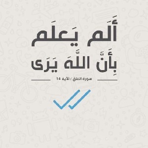 participant 0