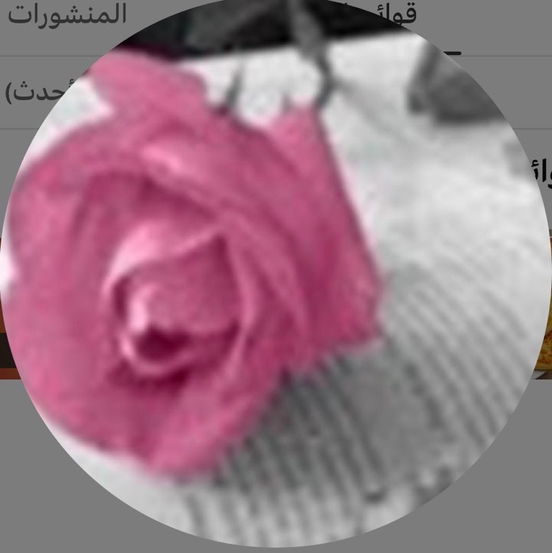 سحر محمد 🥇🏅 profile