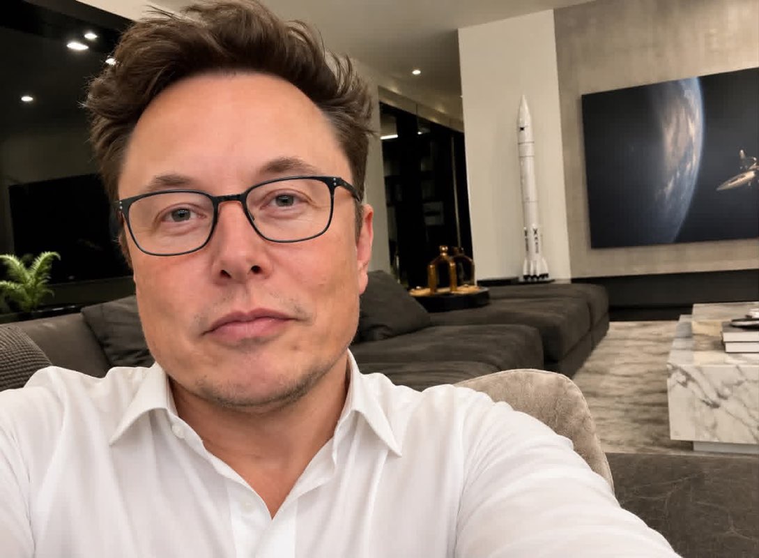 Elon Reeve musk ✅ profile