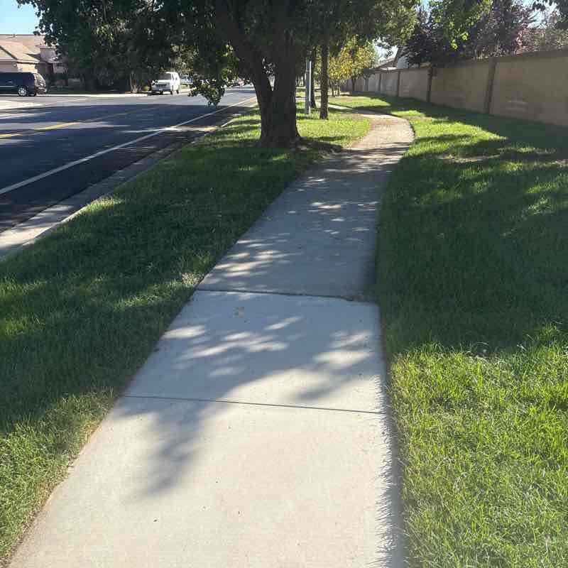 Highland SLC Monica post image