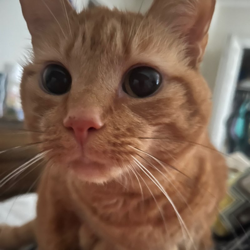 Brian profile