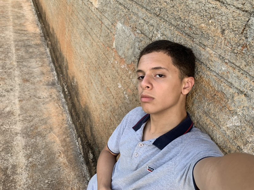 Rafael profile