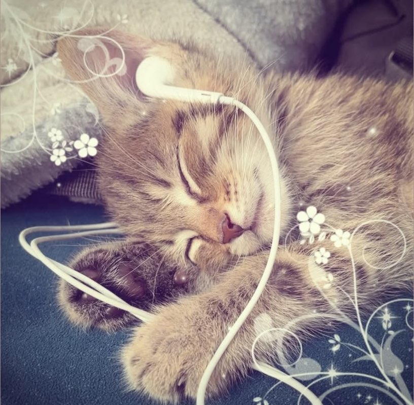 lex (˶ˆ꒳ˆ˵)