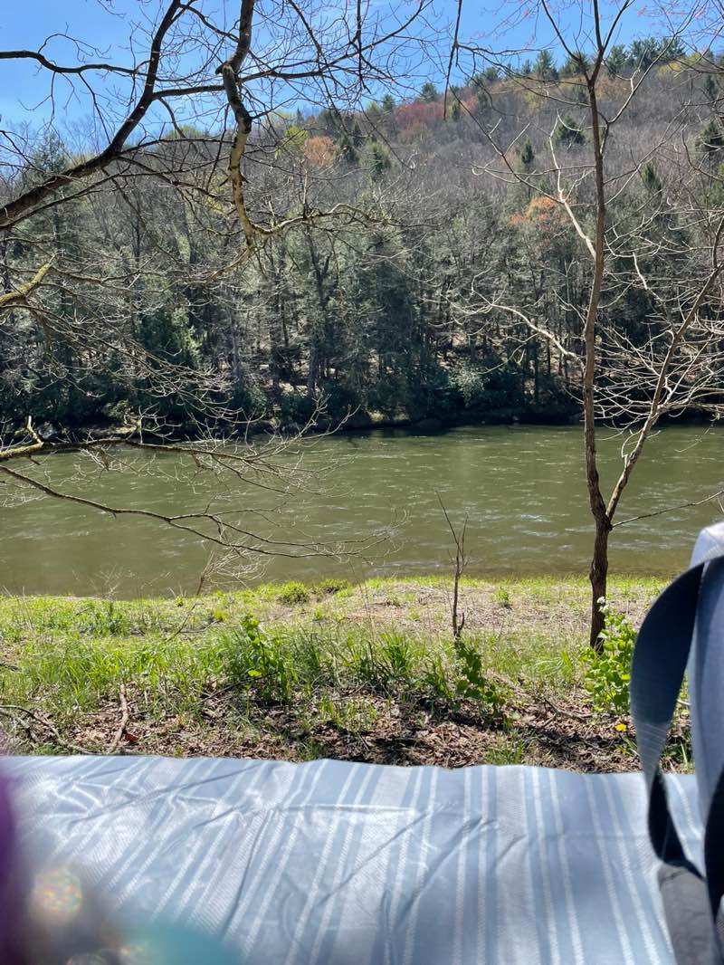 walking near me in Cook Forest State Park in spring