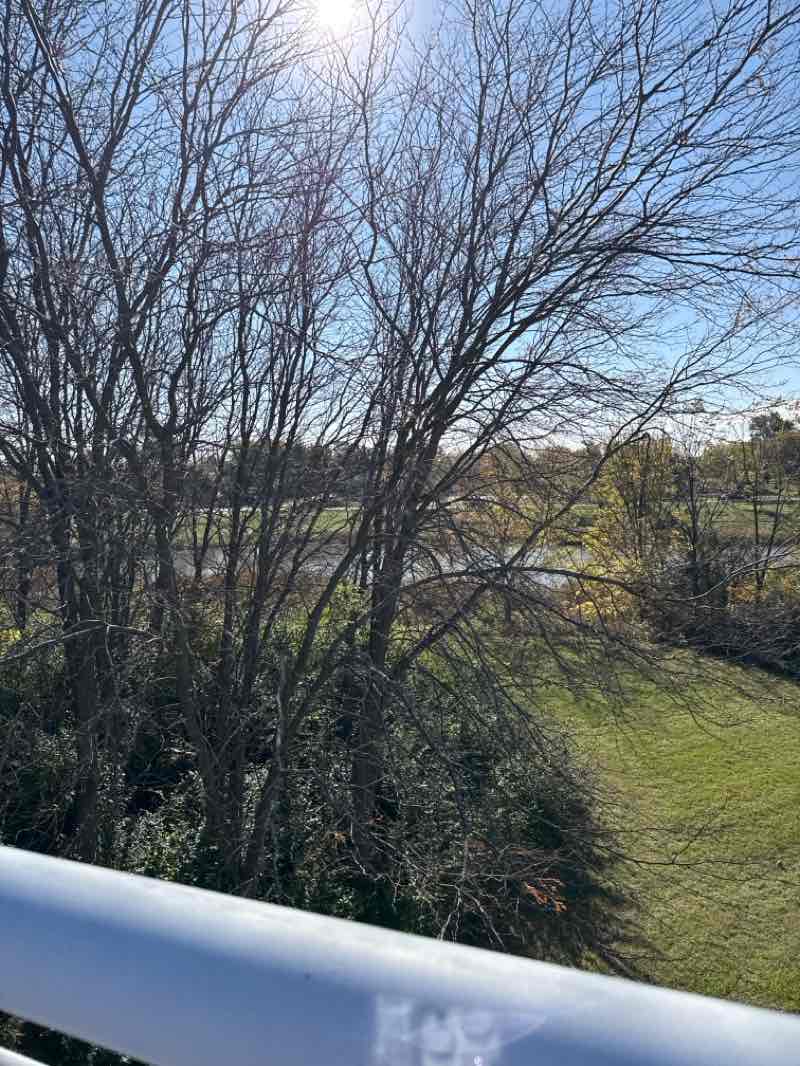 walking near me in Breidert Green Park in autumn