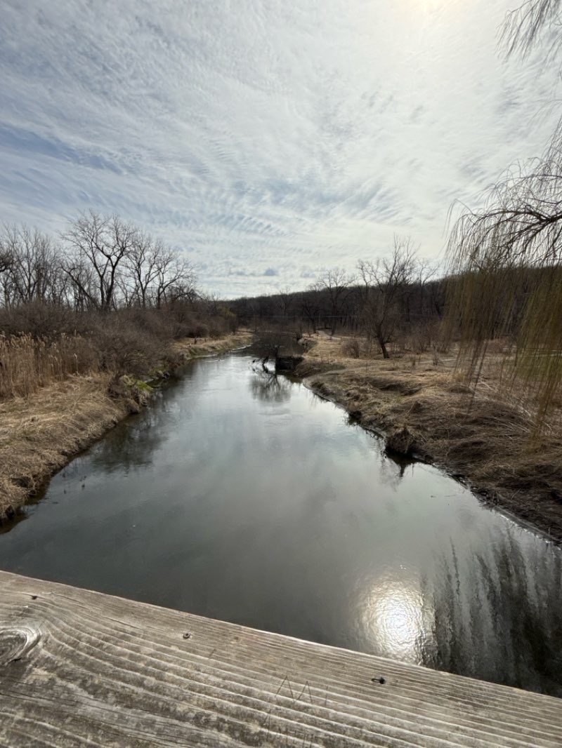 walking near me in Hidden Lakes Park in spring