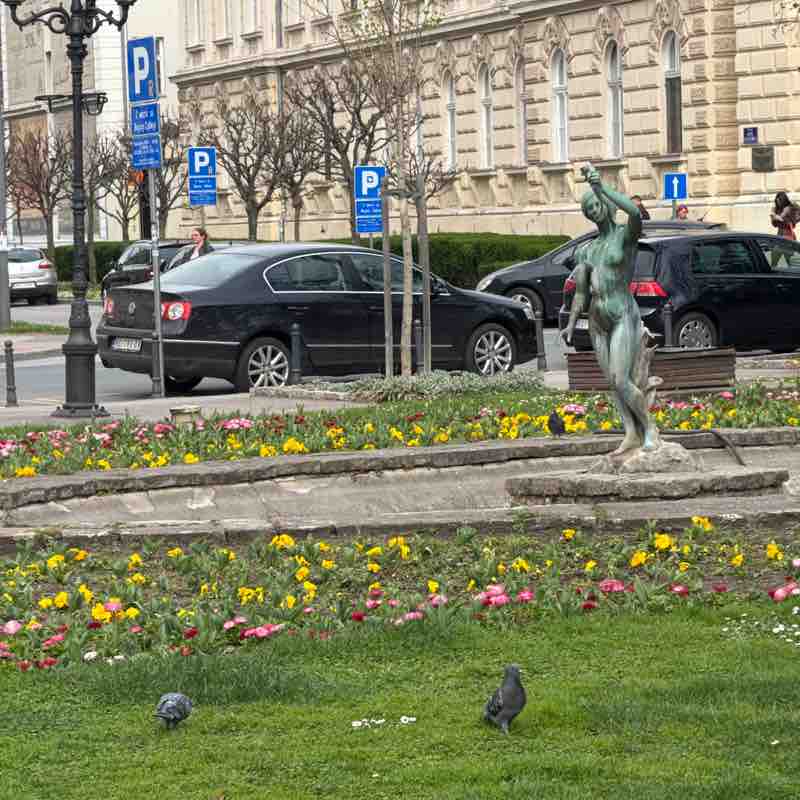 martinfreedom post 1