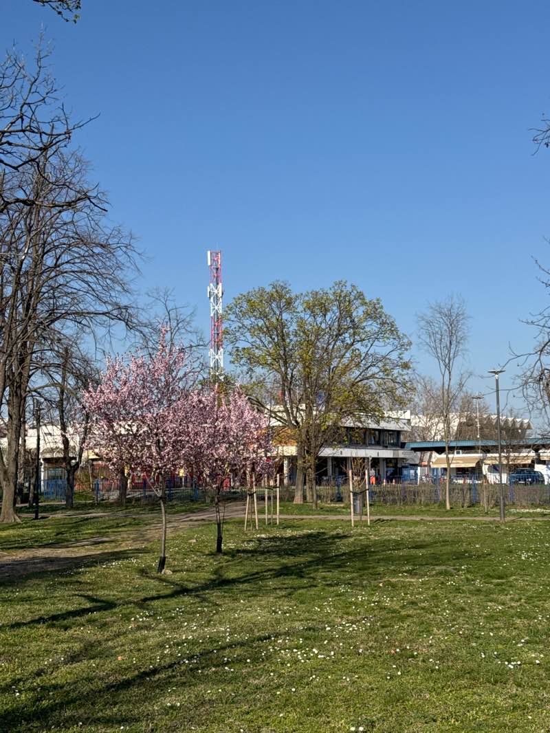 walking near me in Железнички парк in spring