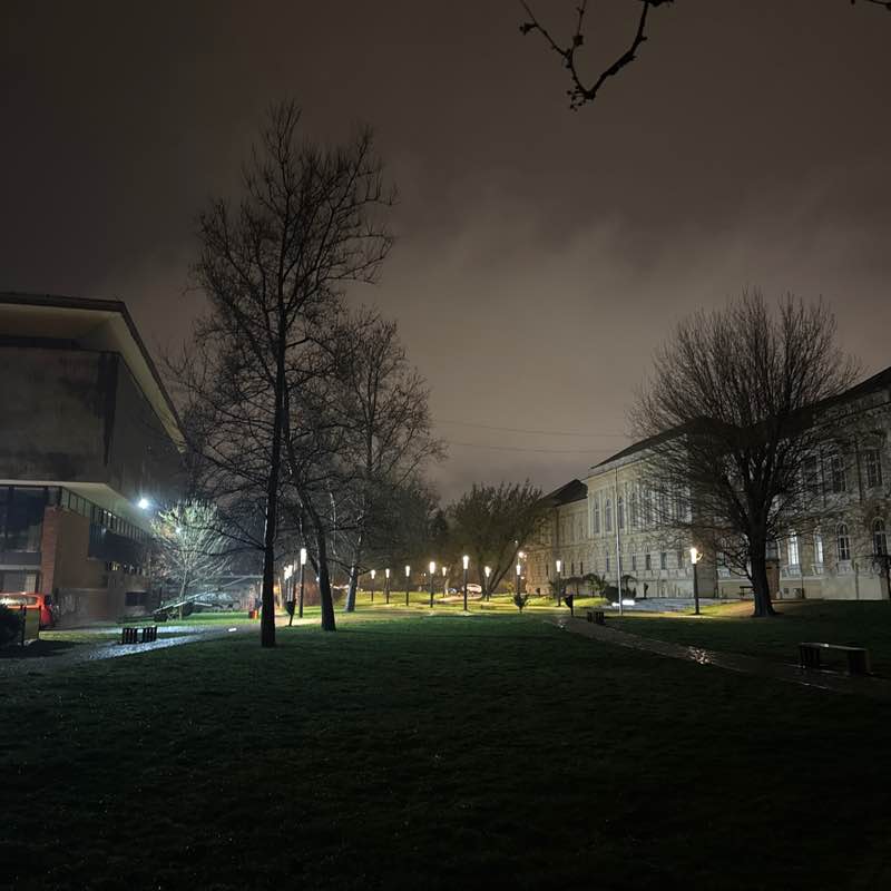 martinfreedom post 1