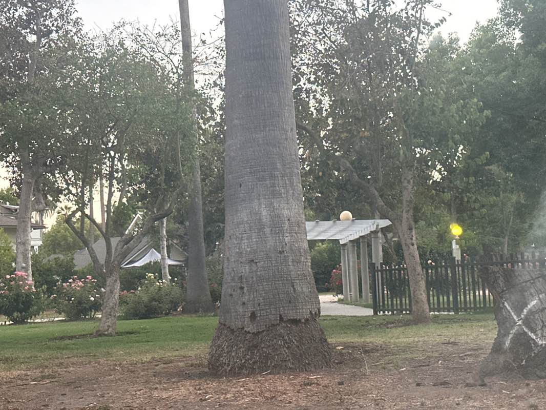 walking near me in Singer Park in summer