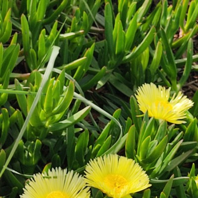 🌅🇪🇬👑🧗🏻‍♀️ Riccardo post image