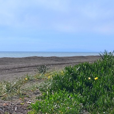 🌅🇪🇬👑🧗🏻‍♀️ Riccardo post image