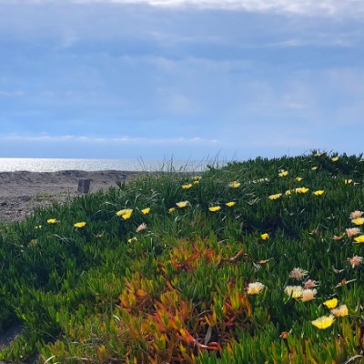 🌅🇪🇬👑🧗🏻‍♀️ Riccardo post image