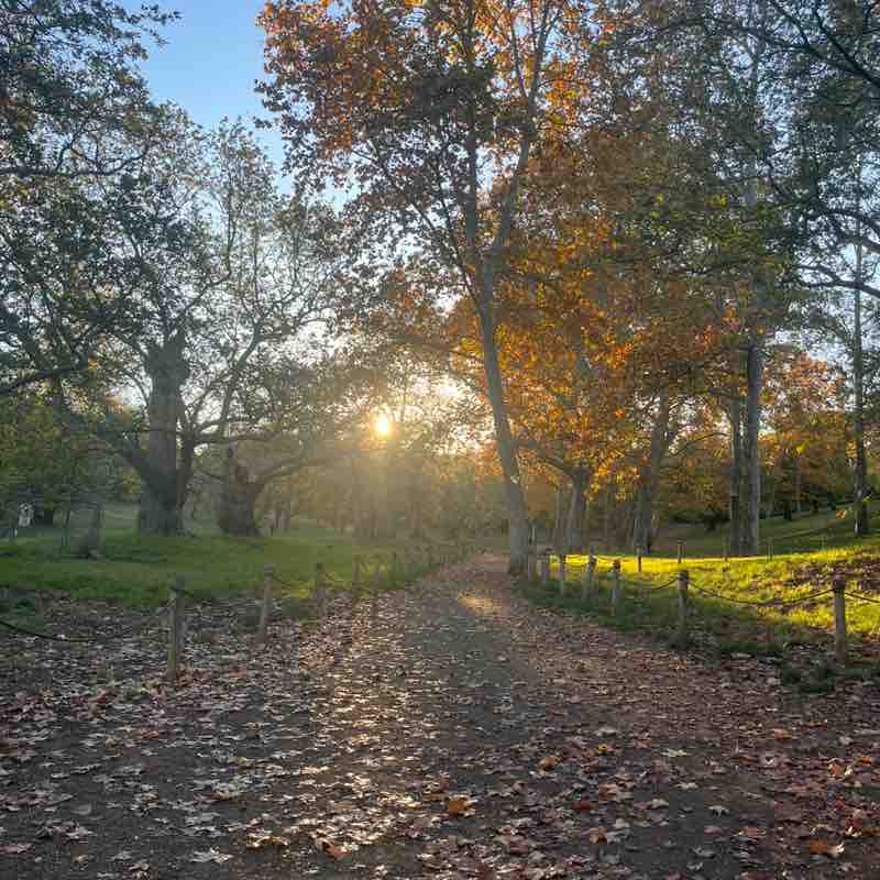 Piedi di Roma Stefano post image