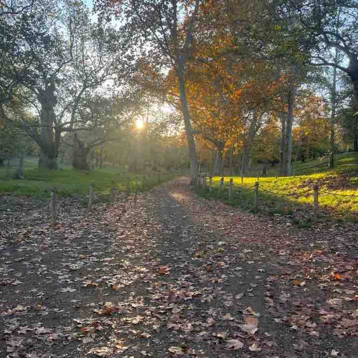 Piedi di Roma Stefano post image