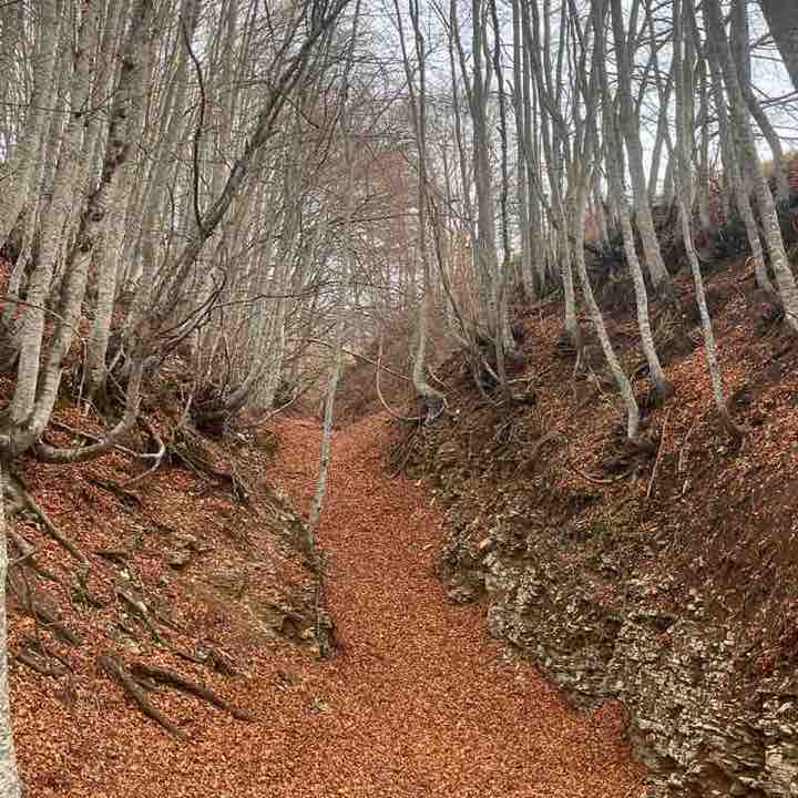 Os peregrinos Stefano post image